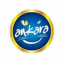 Ankara Büyükşehir